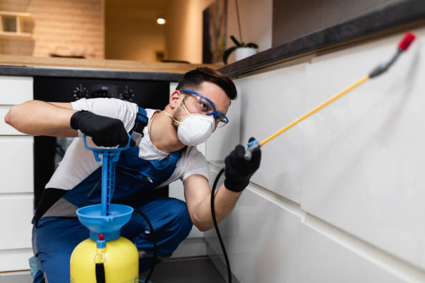 Best Rat Extermination Near Me  in Pikeville, KY