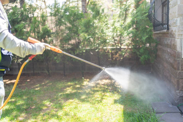 Best Insect Control  in Pikeville, KY