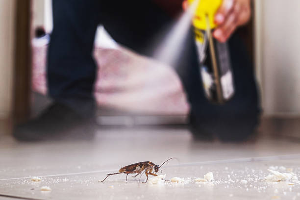 Insect Control in Pikeville, KY