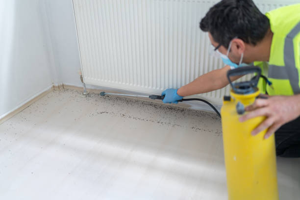 Best Affordable Pest Control Services  in Pikeville, KY